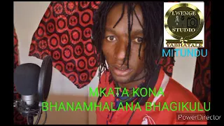 mkata kona bhanamhalana na bhagikulu by lwenge studio mitundu