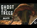 GHOST IN THE TREES Leopard Hunting with the 375 Ruger MEGA FIX
