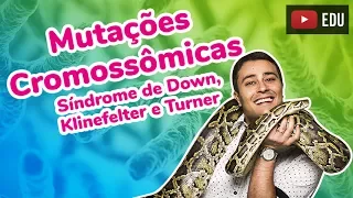 Mutações Cromossômicas - Síndrome de Down, Klinefelter e Turner - Prof. Paulo Jubilut
