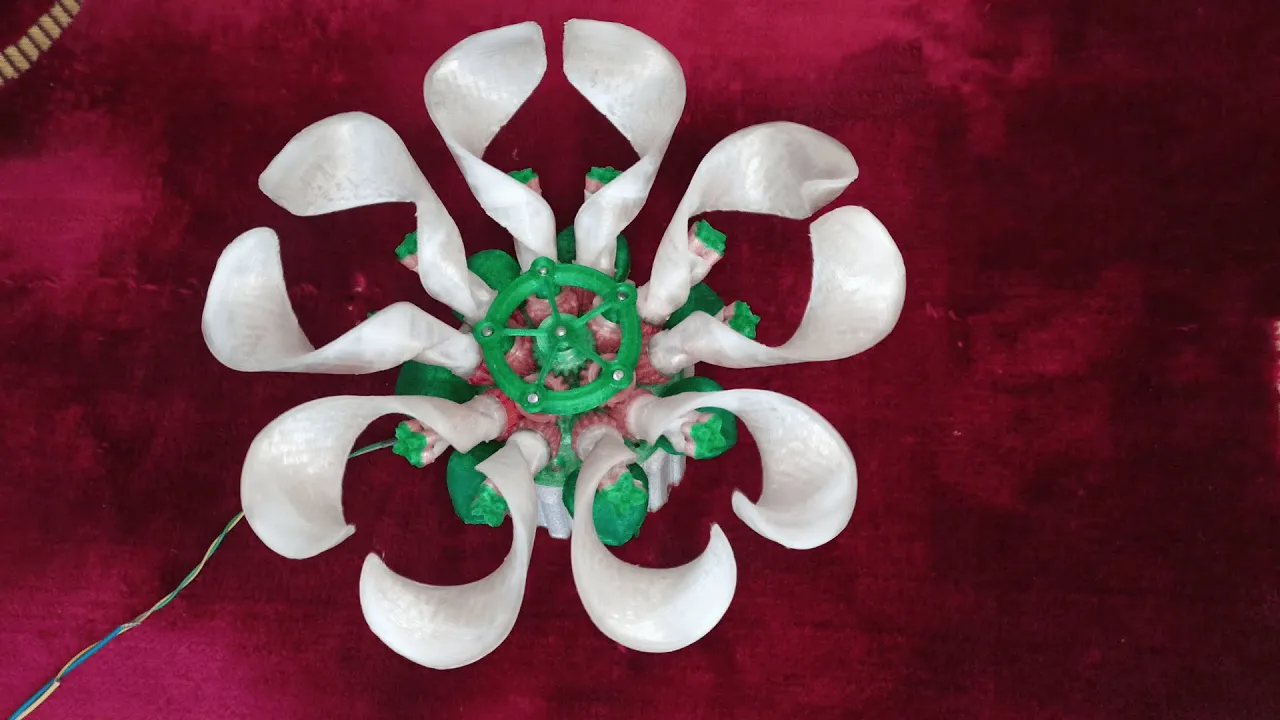 Rotating Flower