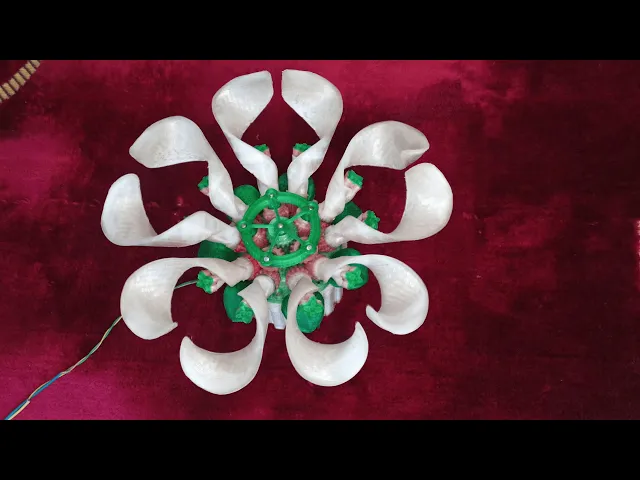 Rotating Flower video thumbnail