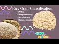 Python Image Processing Project - Rice Classification Using Machine Learning