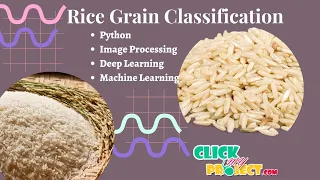Python Image Processing Project - Rice Classification Using Machine Learning