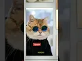 Download Lagu KUCING NYA GEMOY GEMOY..!!?! ||#SHORTS AISYAH ANANDA PUTRI [H.A.I]