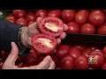 Tip Of The Day Roma Tomatoes