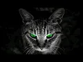 Download Lagu Omer Gigi - Midnight Memories (Relaxing Set)