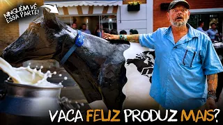 O MUNDO DO LEITE É MUITO MAIOR DO QUE PARECE! 🐄🥛😮