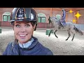 Download Lagu TONNEN RACE MET CARLETTO \u0026 SNUITABLE | WORKING EQUITATION