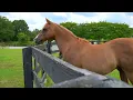 2545 N Rocky River Rd Lancaster SC 63-Acre Equestrian Estate w Pool Guest House Private Pond