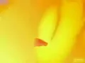 Mor ve Ötesi - Yaz Yaz Yaz - Shaman King