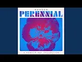 Download Lagu Young and Dumb