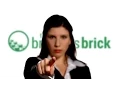 The Brothers Brick needs YOU