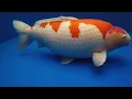 Most Expensive Koi Fish Ever Sold in Auction S LEGEND