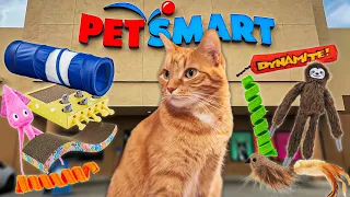 I Bought My Cat Every Cat Toy From PetSmart