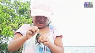 Download FISHING CICHLIDS IN THE COROZAL BAY WITH EIZA MP3