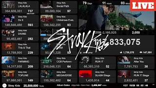Stray Kids - This & That 120M | Live View Count | Album Sales | Lo-fi BGM