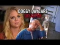 Download Lagu This Dog is Getting Kicked Out of Doggy Daycare!