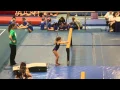 Barron Gymnastics - Level 2 Gymnastics Meet
