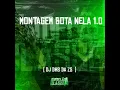 Montagem Bota Nela 1.0