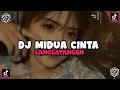 Download Lagu DJ MIDUA CINTA LANGLAYANGAN || DJ VIRAL FYP TIKTOK TERBARU 2022 FULL BASS