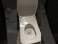 Lagu #japan #japanese #toilet #warm #seats #clean #remote #control  #london #restaurant