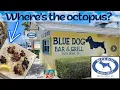 Blue Dog Bar Grill - Matlacha FL