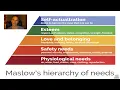The Problem with Maslow s Hierarchy of Needs Jordan Peterson