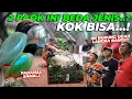 Download Lagu TERHARU...! LAMA DI KANDANG BURUNG LANGKA INI LANGSUNG BERTERIMA KASIH SAAT DI BEBASKAN