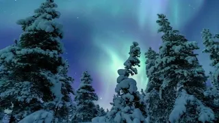 Ashreveal Ashish Swargiary Manasha Over Slowed 