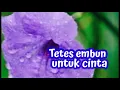 Download Lagu Tetes embun untuk cinta. Jangan biarkan cintanya layu.