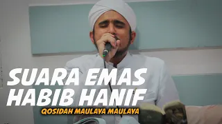 Download MERDUNYA...SUARA HABIB HANIF ALATHOS, TEKS QOSIDAH MAULAYA MAULAYA, MAJELIS AL BAHJAH. MP3