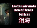 大头针 🎵 泪海🎵+cover（男生版）Lei hai