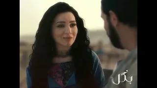                                                دندنها