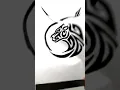 sketch