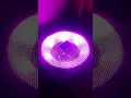 Download Lagu A Janam Karna  Nai Re Let bouri band (Dj Astik) Sarabari