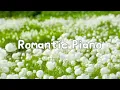 Download Lagu 空氣帶著溫柔的浪漫之歌/空気は優しいロマンチックな歌を運んでいます/공기는 부드러운 낭만적인 노래를 실고 있습니다