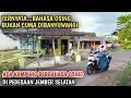 Lagu Bukan Di Banyuwangi, Ada Kampung Yang Berbahasa Osing Di Jember Selatan