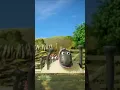 Download Lagu SYNCHRONISED SWIMMING🐑🐑🐑 #shorts  #shaunthesheep  #cartoonforkids #animation  #sports