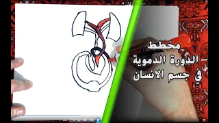 طريقة رسم مخطط الدورة الدموية لجسم الانسان مع التأشير والتلوين  طريقة رسم مخطط الدورة الدموية لجسم الانسان مع التأشير والتلوين