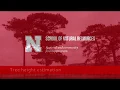 Tree measurements Height via clinometer
