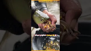 این مرد یک ماهی فوق العاده صید کرده 