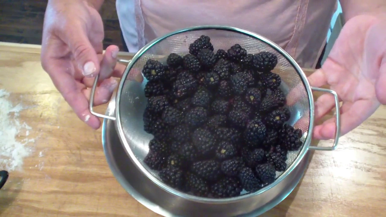 No-Bake Frozen Blackberry Pie