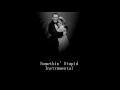 Download Lagu Frank Sinatra - Somethin' Stupid (Instrumental)