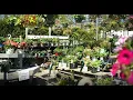 Leeway Ace Garden Center