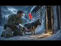 A Pregnant German Shepherd Vanished Before the Blizzard What a Navy SEAL Found Changed
