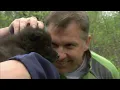 Wild Kratts S04E08 - Animals Who Live To Be 100 Years Old (Full Episode)