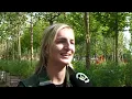 Download Lagu 'Militaire operatie' voor Ebben: 785 bomen over de snelweg voor óp de snelweg