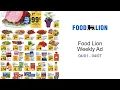 Food Lion Weekly Ad -