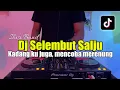 Download Lagu DJ SELEMBUT SALJU - DJ KADANG KU JUGA MENCOBA MERENUNG FULL BASS