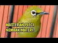 Download Lagu MASTERAN PLECI NEMBAK MATERI- MUDAH MASUK GAMPANG DI INGAT GAK BIKIN GLONDANGAN